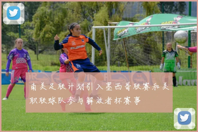 南美足联计划引入墨西哥联赛和美职联球队参与解放者杯赛事